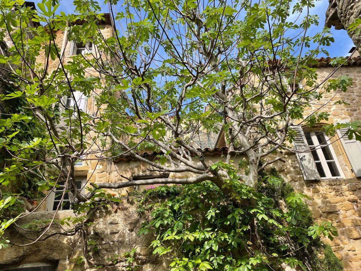 Le Petit Egregore, Patio Et Climatisation Lauris Exterior photo